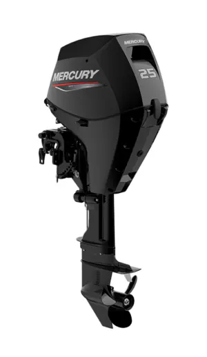 Mercury F25 | 25 pk