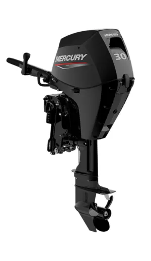 Mercury F30 | 30 pk
